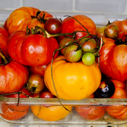organic Tomatoes Seeds Mix