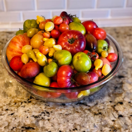 organic Tomatoes Seeds Mix