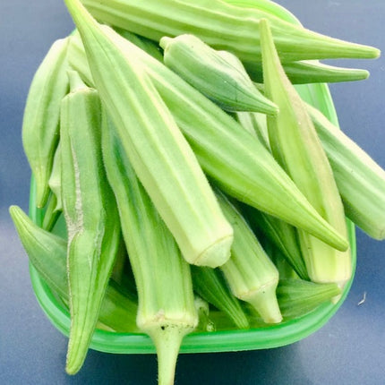 Heavy Hitter Okra Seeds, Heirloom Super Prolific. Open Pollinated. African Okra