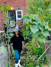 Heavy Hitter Okra Seeds, Heirloom Super Prolific. Open Pollinated. African Okra