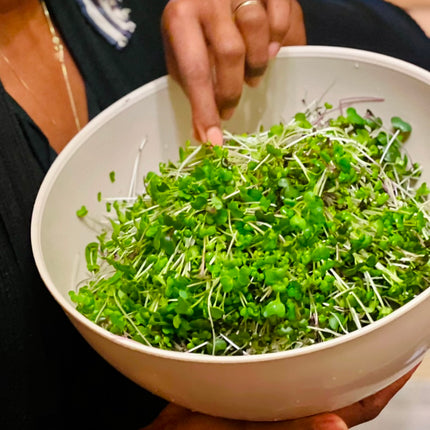 Organic Micro-greens Seeds 2 Oz