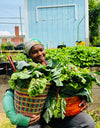 Organic Kale Seeds Mix