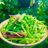 Organic Bush Beans Seeds MIX