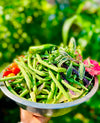 Organic Bush Beans Seeds MIX