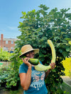 Summer Italian Zucchino