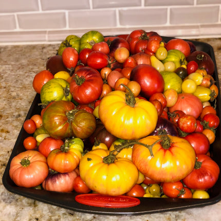 organic Tomatoes Seeds Mix