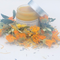 Herbal Salves